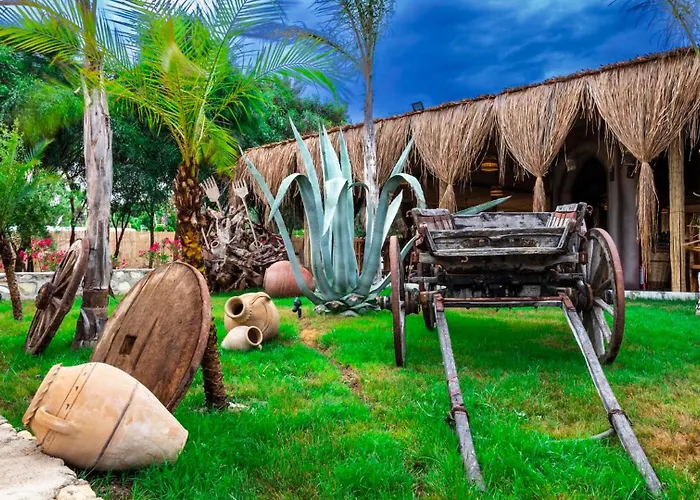 Dream Water World 5* 锡德